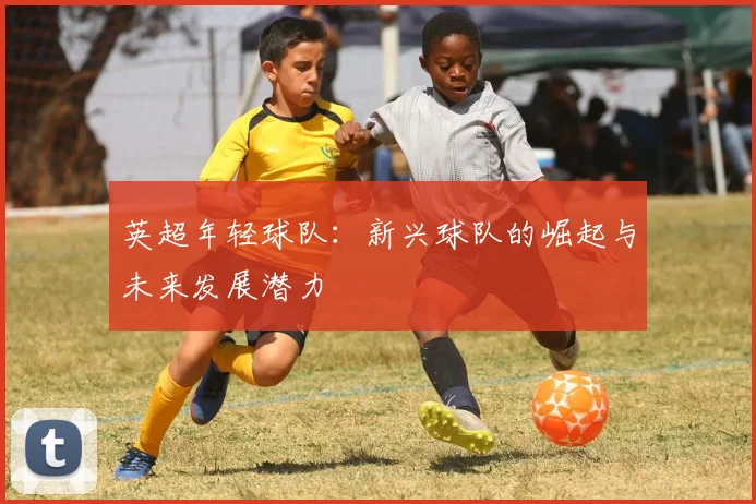 英超年轻球队:新兴球队的崛起与未来发展潜力