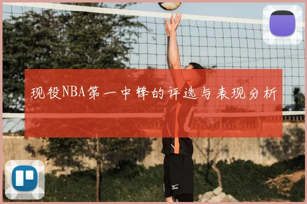 现役NBA第一中锋的评选与表现分析
